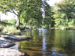 SX09589 Stream at Beara farm campsite.jpg